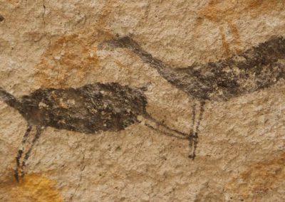 Antropología visual expandida: Patrimonio arqueológico y realidad virtual en el sitio Cueva de las Manos, Santa Cruz, Argentina.