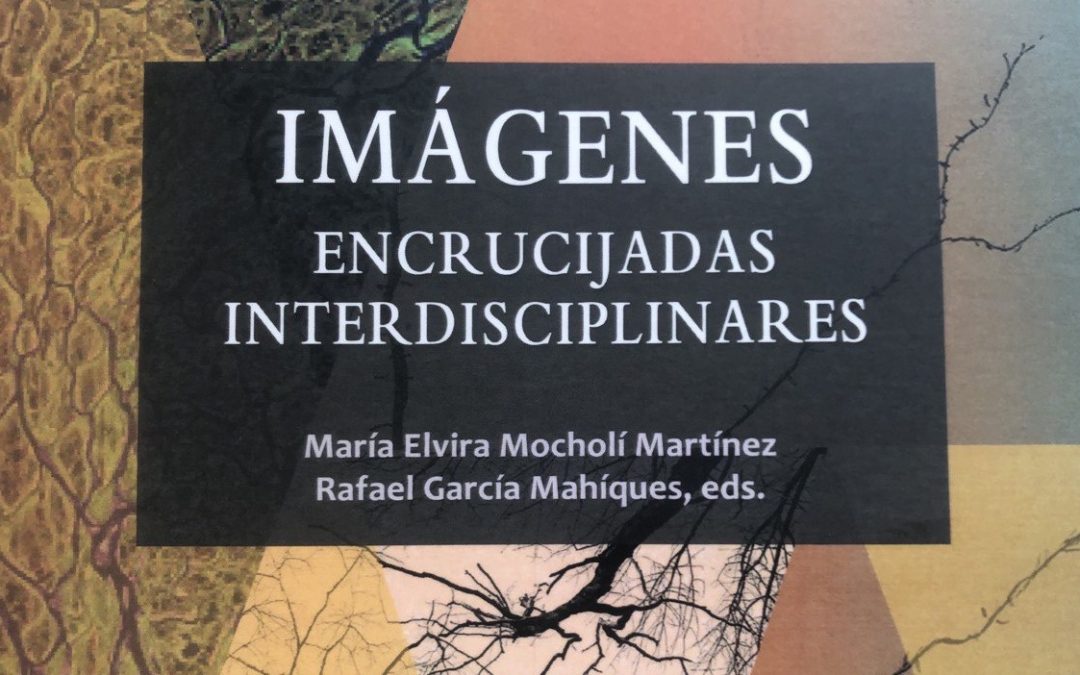 Imágenes: Encrucijadas Interdisicplinares